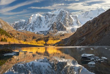 Parlak renkli sarı sonbahar dağ Gölü, Rusya, Sibirya, Altay Dağları, Chuya ridge.