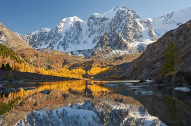 Parlak renkli sarı sonbahar dağ Gölü, Rusya, Sibirya, Altay Dağları, Chuya ridge.