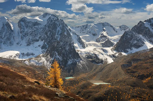 明るいカラフルな黄色秋山湖 ロシア シベリア アルタイ山脈 中也リッジ — ストック写真