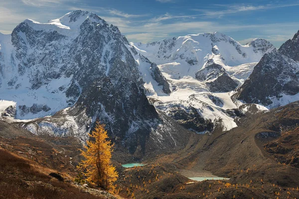 明るいカラフルな黄色秋山湖 ロシア シベリア アルタイ山脈 中也リッジ — ストック写真