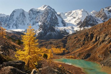 Parlak renkli sarı sonbahar dağ Gölü, Rusya, Sibirya, Altay Dağları, Chuya ridge.