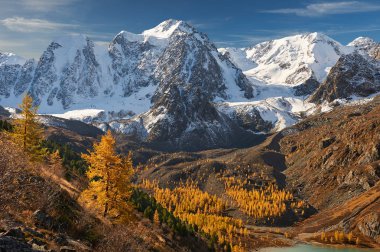 Parlak renkli sarı sonbahar dağ Gölü, Rusya, Sibirya, Altay Dağları, Chuya ridge.