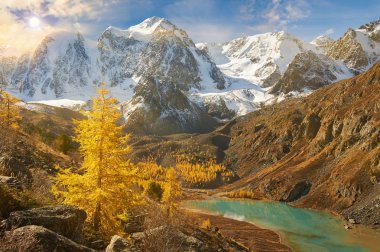 Parlak renkli sarı sonbahar dağ Gölü, Rusya, Sibirya, Altay Dağları, Chuya ridge.