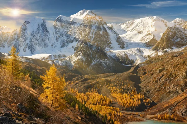 Laghetto Giallo Brillante Montagna Autunno Russia Siberia Montagne Altai Cresta — Foto Stock