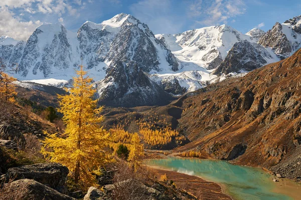 Parlak renkli sarı sonbahar dağ Gölü, Rusya, Sibirya, Altay Dağları, Chuya ridge.