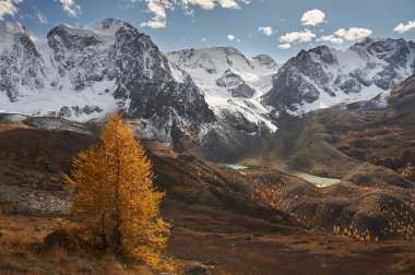Parlak renkli sarı sonbahar dağ Gölü, Rusya, Sibirya, Altay Dağları, Chuya ridge.