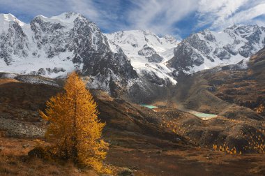 Parlak renkli sarı sonbahar dağ Gölü, Rusya, Sibirya, Altay Dağları, Chuya ridge.
