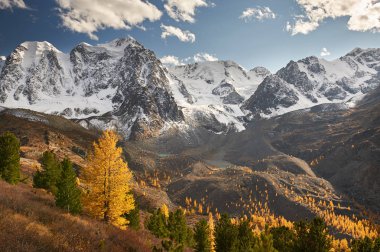 Parlak renkli sarı sonbahar dağ Gölü, Rusya, Sibirya, Altay Dağları, Chuya ridge.