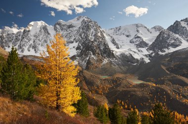 Parlak renkli sarı sonbahar dağ Gölü, Rusya, Sibirya, Altay Dağları, Chuya ridge.