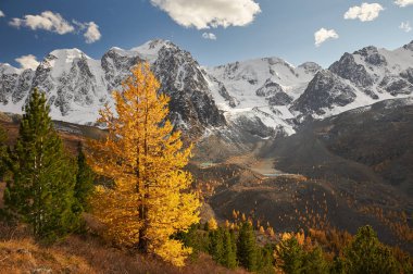Parlak renkli sarı sonbahar dağ Gölü, Rusya, Sibirya, Altay Dağları, Chuya ridge.