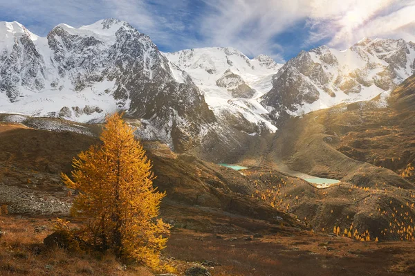 Laghetto Giallo Brillante Montagna Autunno Russia Siberia Montagne Altai Cresta — Foto Stock