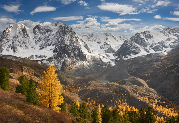 Parlak Renkli Sarı Sonbahar Dağ Gölü Rusya Sibirya Altay Dağları — Stok fotoğraf