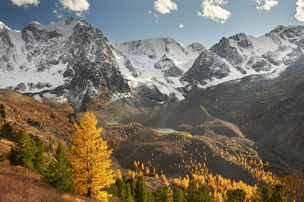 Parlak Renkli Sarı Sonbahar Dağ Gölü Rusya Sibirya Altay Dağları — Stok fotoğraf