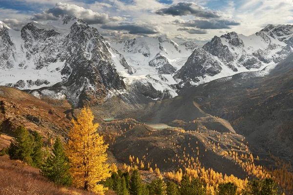 Lac Montagne Automne Jaune Lumineux Coloré Russie Sibérie Montagnes Altaï — Photo