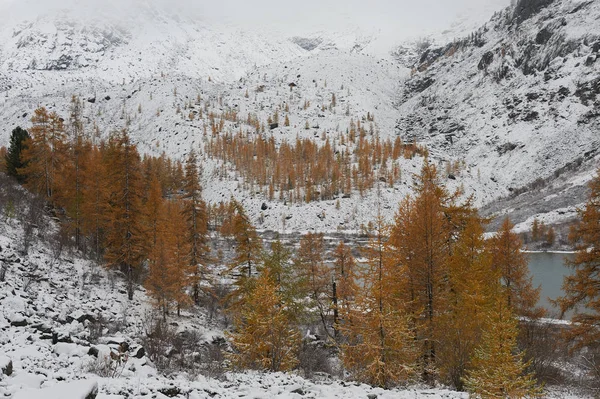 Bewölkt Schneebedeckter Winter Bergsee Russland Sibirien Altai Gebirge Chuya Kamm — Stockfoto