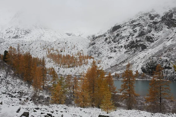 Cloudy morning. Snow-covered winter mountain lake, Russia, Siberia, Altai mountains, Chuya ridge.