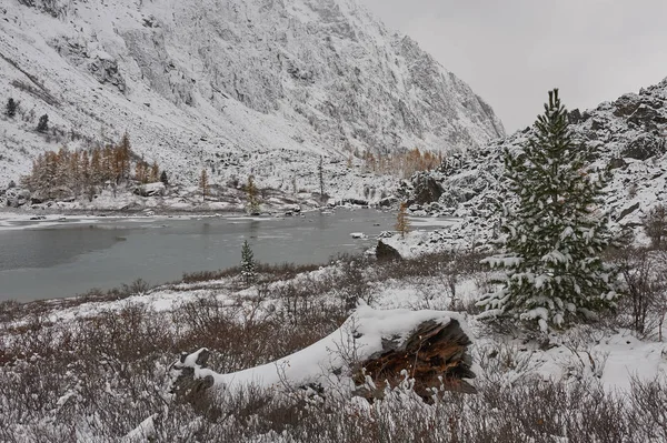 Cloudy morning. Snow-covered winter mountain lake, Russia, Siberia, Altai mountains, Chuya ridge.