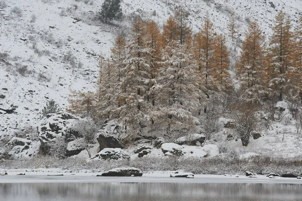 Molnig Morgon Snötäckta Vintern Mountain Lake Ryssland Sibirien Altai Bergen — Stockfoto