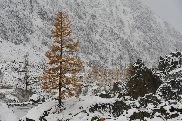 Bewölkt Schneebedeckter Winter Bergsee Russland Sibirien Altai Gebirge Chuya Kamm — Stockfoto