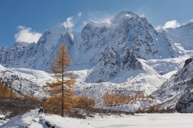 Altay Dağları
