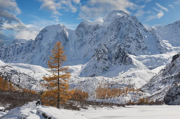 Altai mountains — Stock Photo, Image