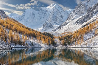 Altay Dağları, Rusya, Sibirya.