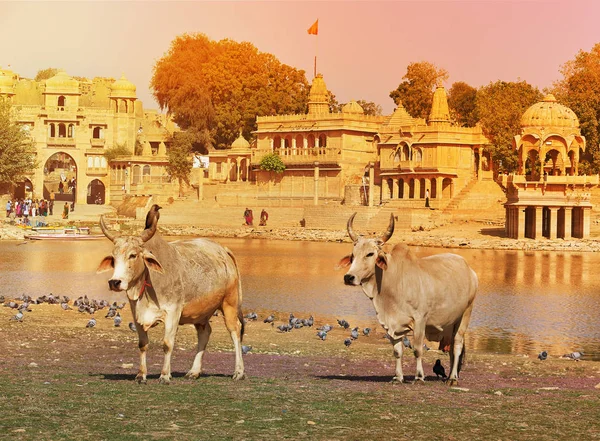 Gadi Sagar templo em Gadisar lago Jaisalmer, Índia . — Fotografia de Stock