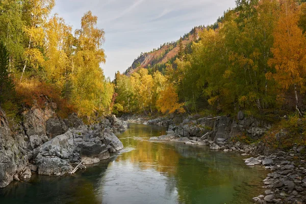 Altay Dağları — Stok fotoğraf