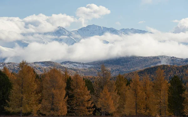 Montañas Altai —  Fotos de Stock