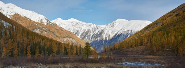 阿尔泰山 — 图库照片