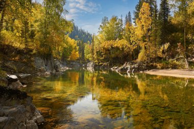 Dağ nehri, Rusya, Sibirya, Altai dağları. Sonbahar ormanlarından akan dağ nehri. .