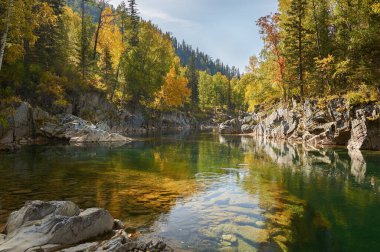 Dağ nehri, Rusya, Sibirya, Altai dağları. Sonbahar ormanlarından akan dağ nehri. .
