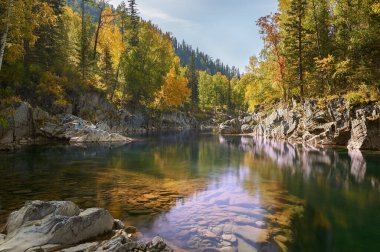 Dağ nehri, Rusya, Sibirya, Altai dağları. Sonbahar ormanlarından akan dağ nehri. .
