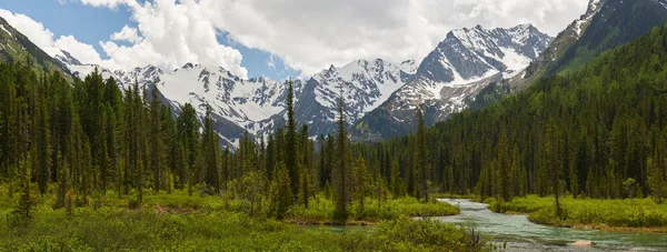 Berg Solig Vårdag Ryssland Sibirien Bergslandskap Med Skog Förgrunden — Stockfoto