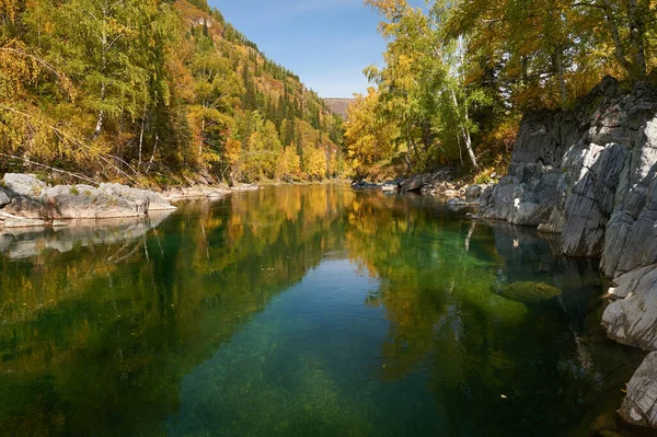 Bergsflod Ryssland Sibirien Altai Berg Bergsflod Som Rinner Genom Höstskogen — Stockfoto