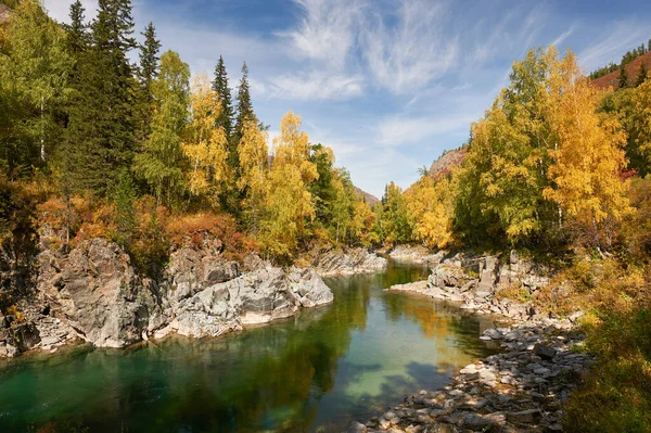 Gebirgsfluss Russland Sibirien Altai Gebirgs Gebirgsfluss Fließt Durch Den Herbstwald — Stockfoto
