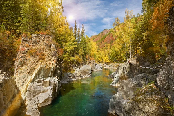 Dağ Nehri Rusya Sibirya Altai Dağları Sonbahar Ormanlarından Akan Dağ — Stok fotoğraf