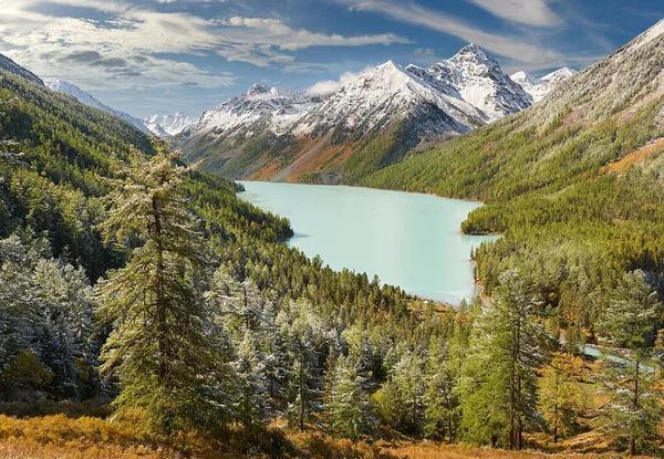 Mountain lake Russia West Siberia Altai mountains. Beautiful landscape sunny morning, mountain lake surrounded by autumnal pristine taiga forest after night snowfall.