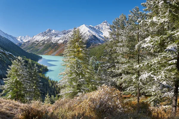 Mountain lake Russia West Siberia Altai mountains. Beautiful landscape sunny morning, mountain lake surrounded by autumnal pristine taiga forest after night snowfall.