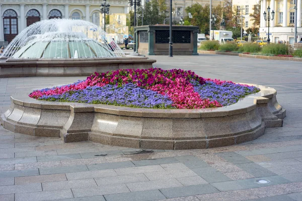 Kota Wilayah Moskow Indah Bunga Rumah Kaca — Stok Foto