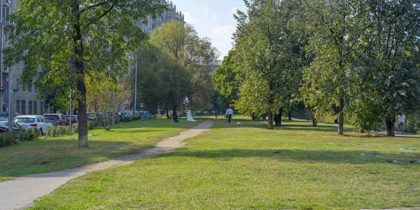 City Moscow Region Beautiful Park Trees — Stock Photo, Image
