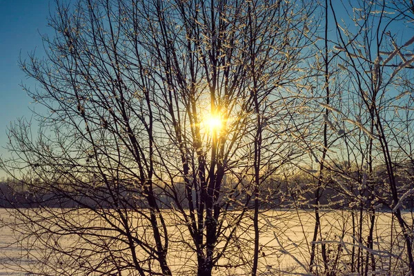 Paisaje Invernal Provincia Rusa Sergiev Posad — Foto de Stock