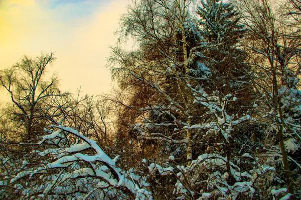 Vinterlandskap Ryska Provinsen Sergiev Posad — Stockfoto