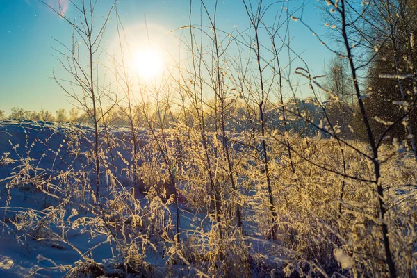 Paisaje Invernal Provincia Rusa Sergiev Posad —  Fotos de Stock