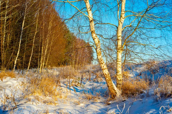 Paisaje Invernal Provincia Rusa Sergiev Posad — Foto de Stock