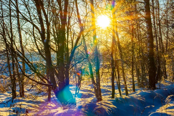 Paisaje Invernal Provincia Rusa Sergiev Posad — Foto de Stock