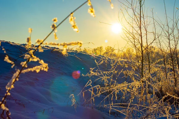 Paisaje Invernal Provincia Rusa Sergiev Posad —  Fotos de Stock