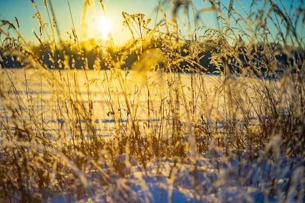 俄罗斯省的冬季景观 塞尔吉耶夫 波萨德 — 图库照片