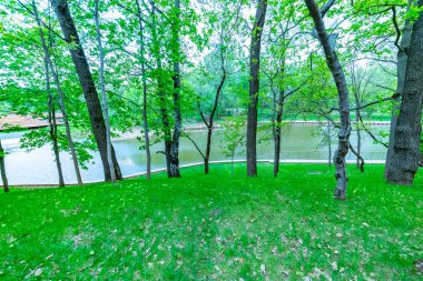 Moskova şehri. Üçüncü Kamensky gölet. Enea. Russia. 2019 ' da doğal parklar