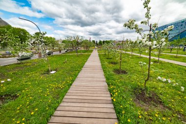 Michurinsky Bahçesi. Bahar-çiçekler elma ağaçları üzerinde çiçek.-güzel bahar çiçekleri. Moskova. Rusya. 2019